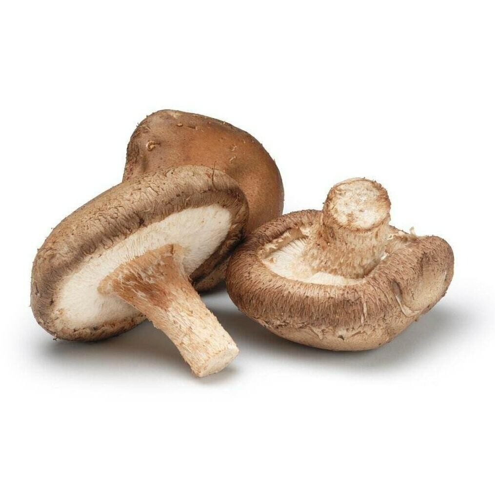 Mushrooms, Shitaki
