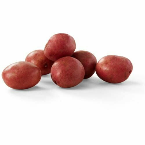 Potatoes, Red B 50#