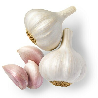 Garlic, 30# Collosal