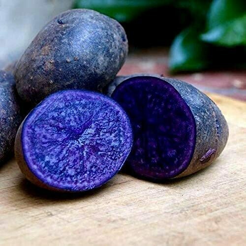 Potato Purple