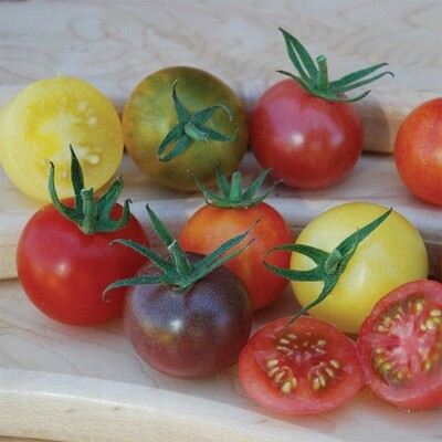 Tomato Heirloom Cherry