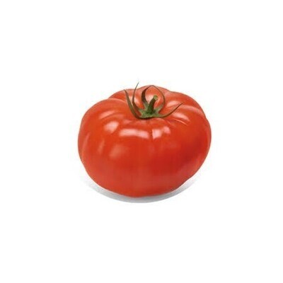 Tomato, Vine Ripe 4 X 5 LARGE
