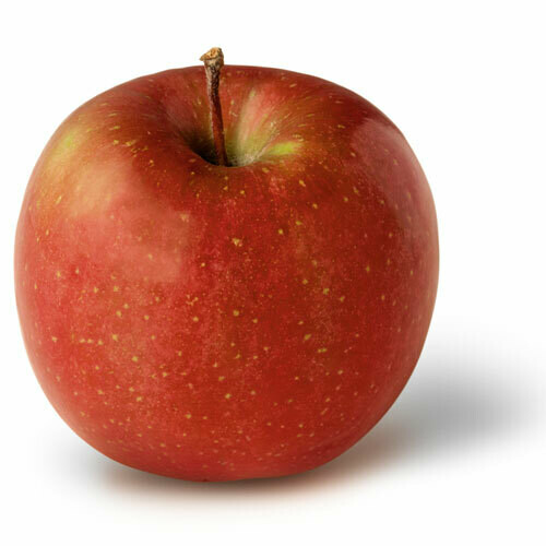Apple Fuji