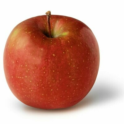Apple Fuji