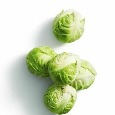 Brussel Sprouts  25#