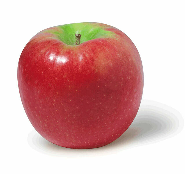 Apple Pink Lady