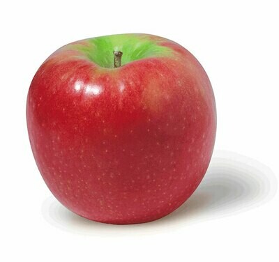 Apple Pink Lady