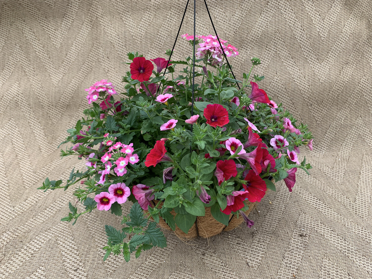Confetti Hot Pink Jazz - 14" Coco-Moss Basket