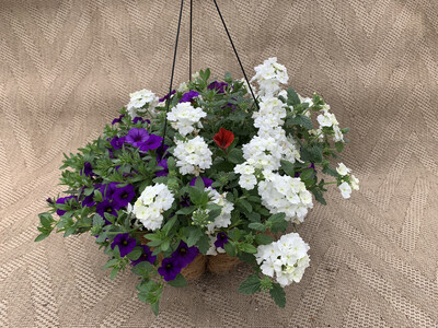 Confetti Patriot - 16" Coco-Moss Basket