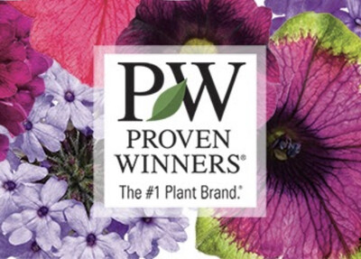 Proven Winners