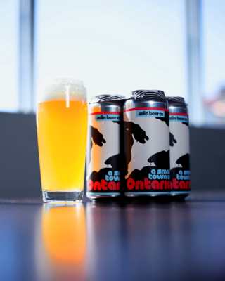 A Small Town in Ontario IPA (4-Pack)