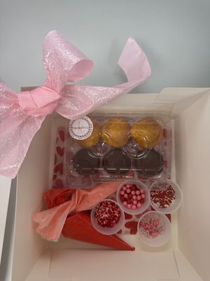 Cupcake Decorating Kit