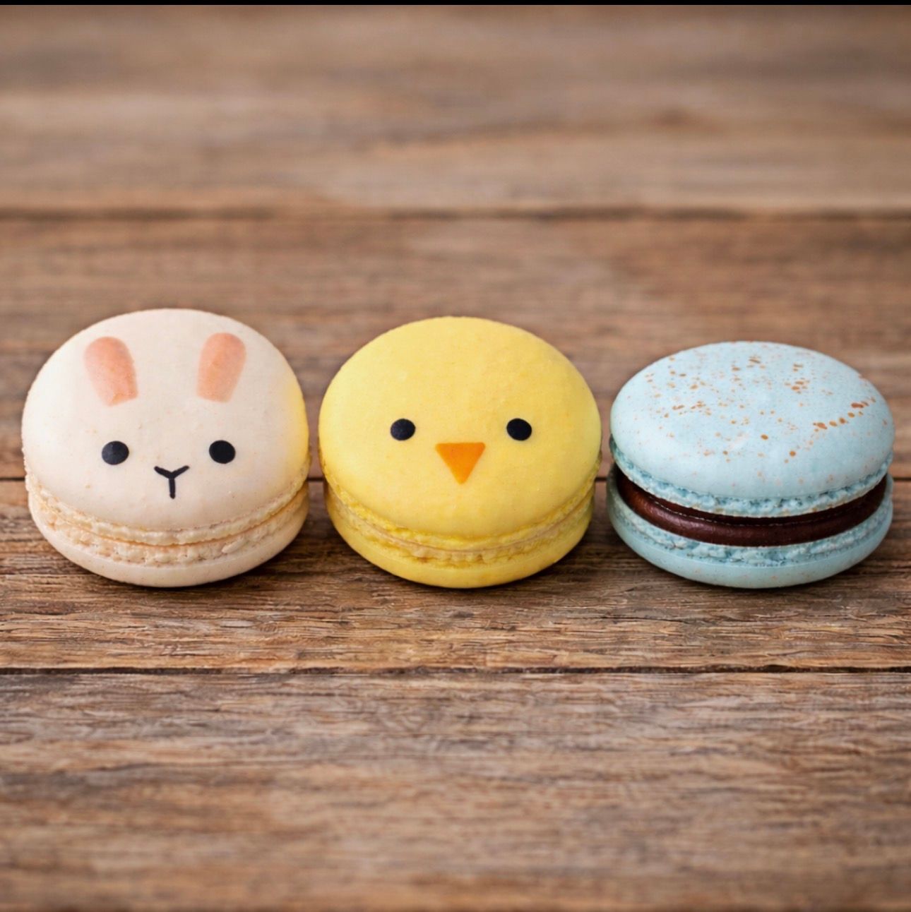 Spring French Macarons