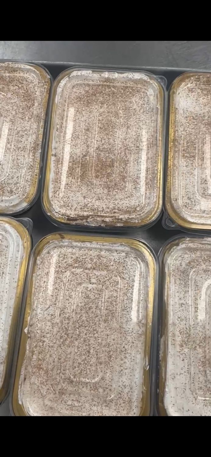 Tres Leche Snack Cake