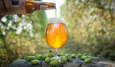 IPAs and Pale Ales