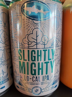 CANS Dogfish Head Slightly Mighty IPA cans 12oz
