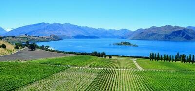 Australia/New Zealand