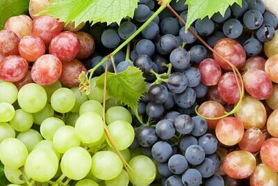 Other Varietals