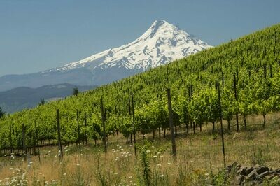 Washington State