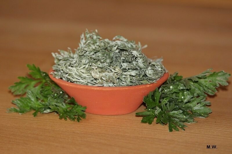 Wermutkraut (60ml im Glas) Räucherwerk