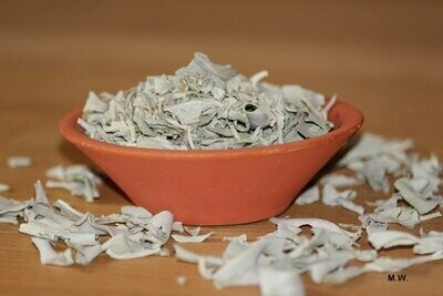 Weißer Salbei (White Sage) 10g / Tütchen Räucherwerk