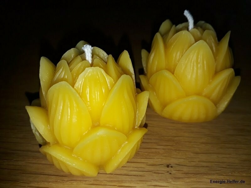 Kerze 100% Bienenwachs Lotusblüte
