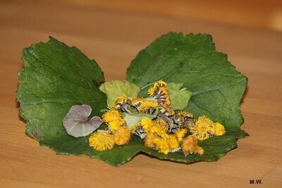 Blüten - Kräuter - Hölzer - Wurzeln
