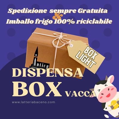 Box Light VACCA