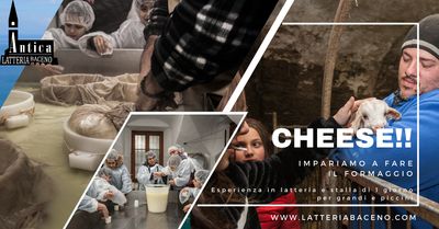 Cheese! Impariamo a fare formaggio