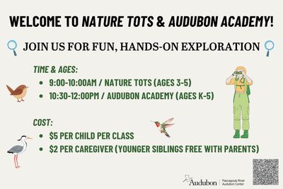 Nature Tots Caregiver