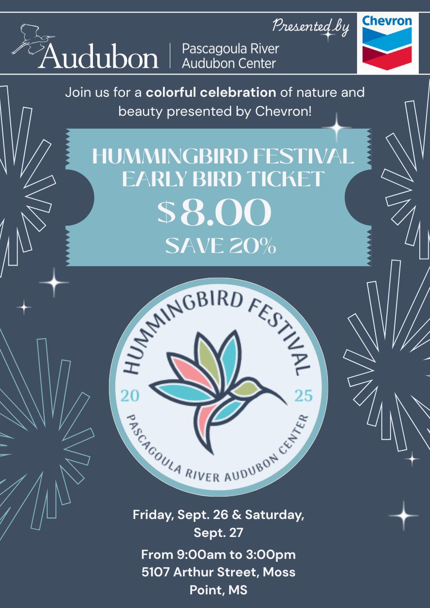 Hummingbird Festival Adult Ticket
