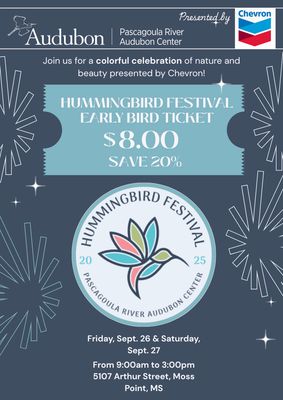 Hummingbird Festival Adult Ticket