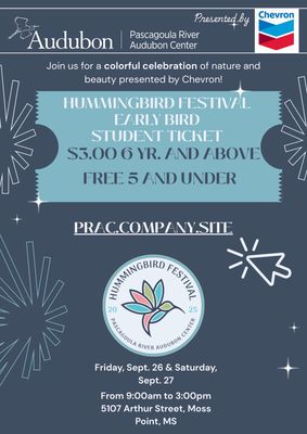 Hummingbird Festival Student Ticket 6-18