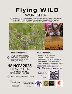 Flying Wild Workshop 11-18-25