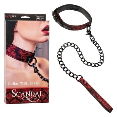 Collars/Leashes/Chest Harness