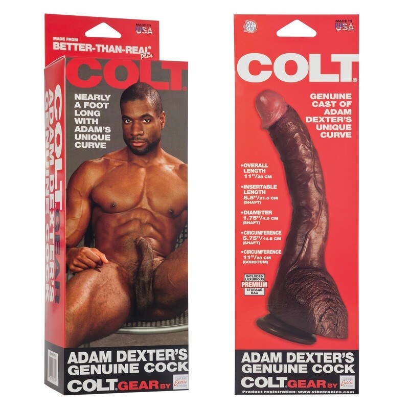 Colt Adam Dexter Dong