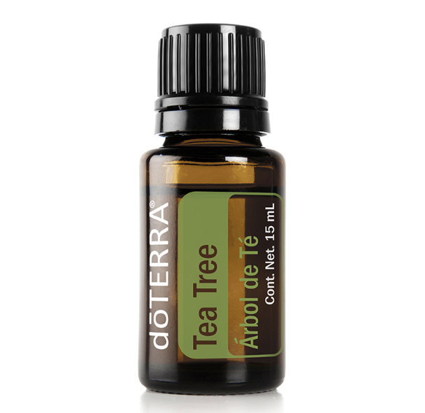 Melaleuca | Tea Tree 15 ml