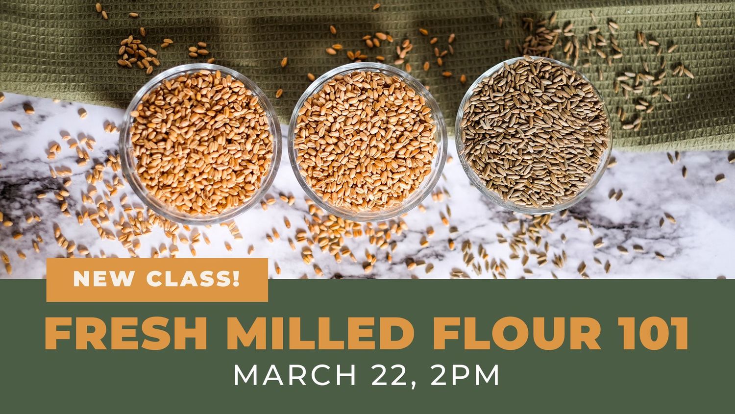 Fresh Milled Flour 101 - 3/22/26