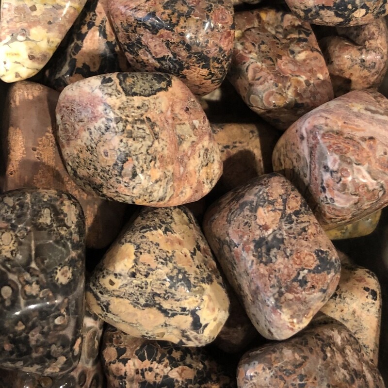 Leopard Skin Jasper Tumbled SM