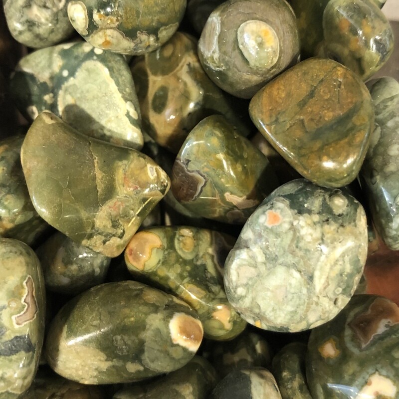 Rainforest Jasper Tumbled