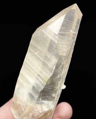 Lemurian Quartz Point LG
