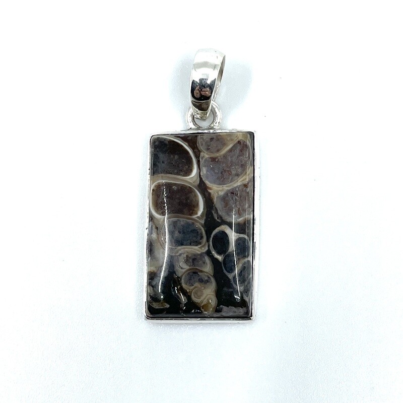 Turritella Agate Crystal Pendant