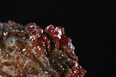 Vanadanite Cluster