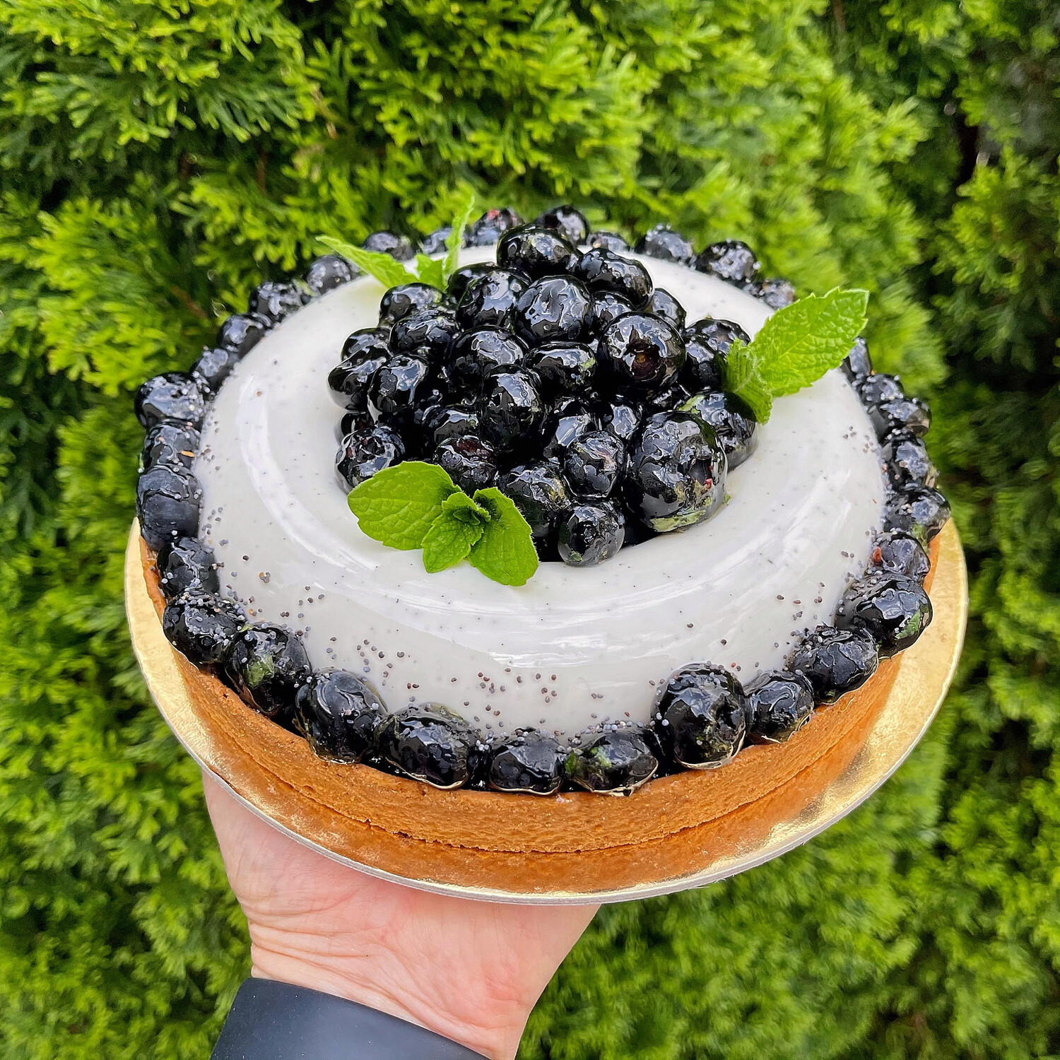 blueberry cheesecake tart, 7”