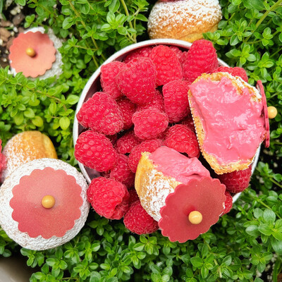 cream puff: RASPBERRY
