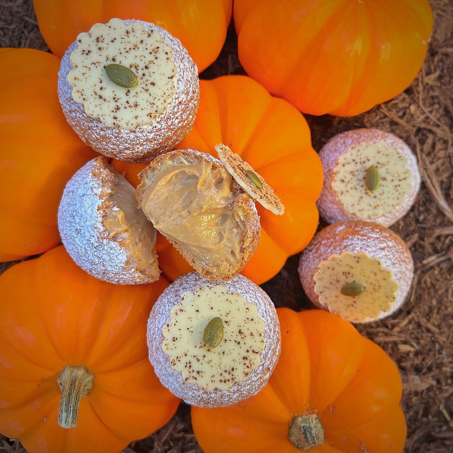 cream puff: PSL