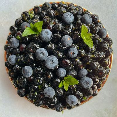 blueberry tart, 7”