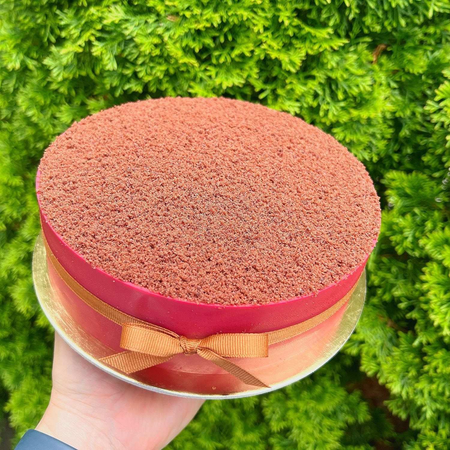 raspberry chocolate chiffon cake, 7”