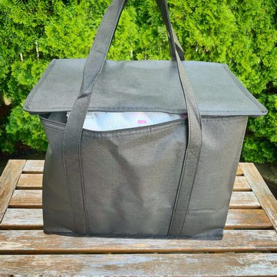 insulated bag w/ice packs