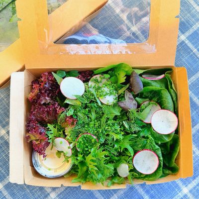 a lovely salad with herbs COLD TO GO